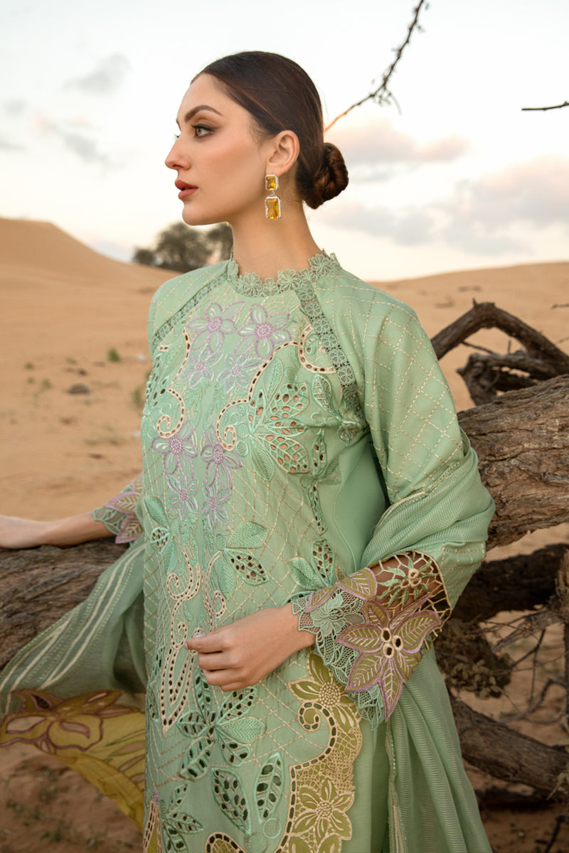 RANG RASIYA | Premium Lawn’24 | ELNAZ - LebaasOnline