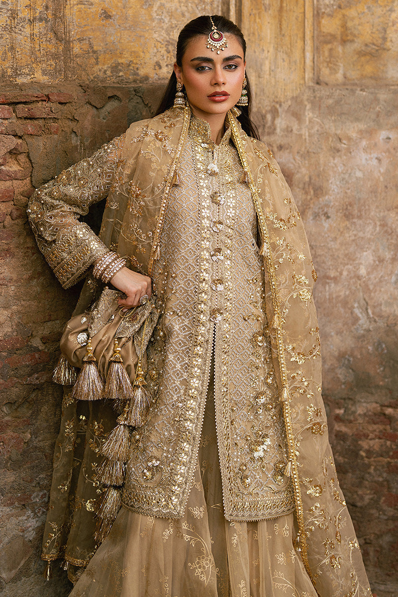Mohsin Naveed Ranjha Roshni Zarlish Festive Collection