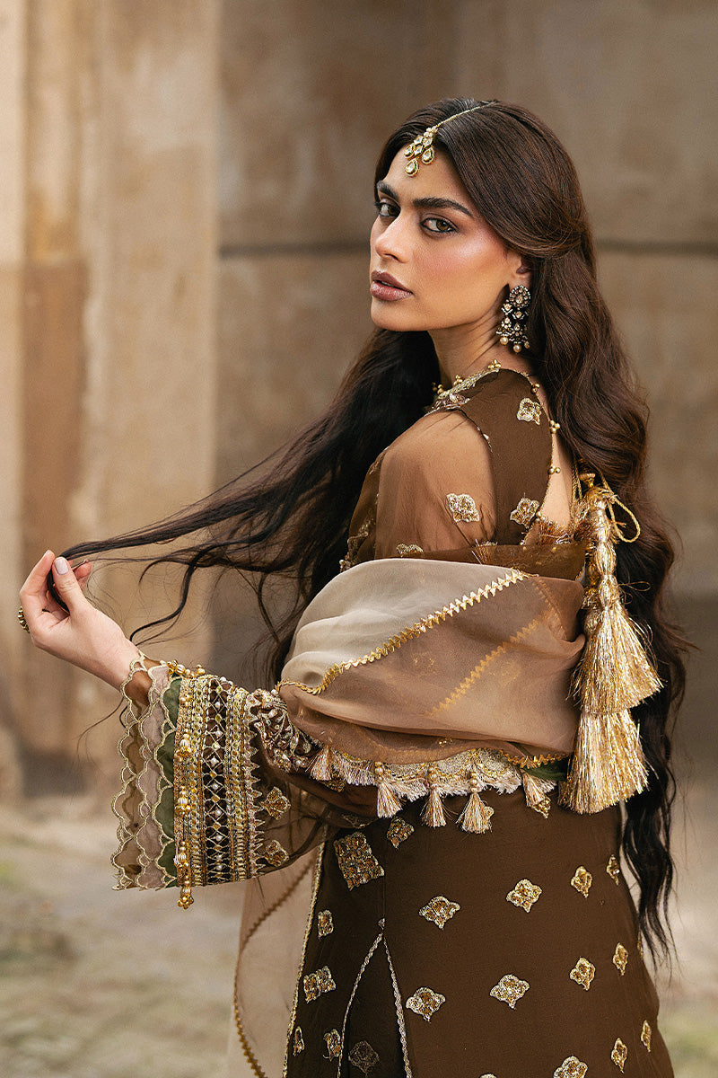 MNR Zarlish Festive Vol VI Tabeer brown designer outfit