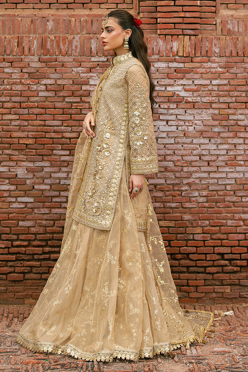 Zarlish Festive Collection Roshni luxury Pakistani fashion