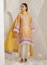 Load image into Gallery viewer, FARAH TALIB AZIZ | LEA EID &#39;25 Pakistani designer suits is available @lebaasonline. We have various Pakistani Bridal dresses online available in brands such as Mari B, Imrozia, Suffuse pret 2025 is best for evening/party wear. Get express shipping in UK, USA, France, Belgium from Lebaasonline in Pakistani SALE