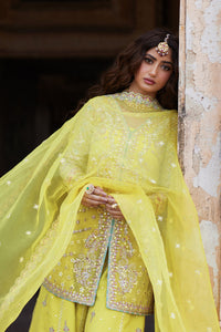 Qalamkar Shadmani Luxury Formals '24 | Dania SH-05