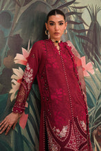 Load image into Gallery viewer, AFROZEH | The Painted Garden 2024 | Dahlia Dusk