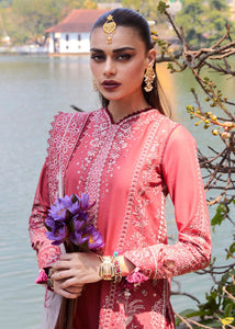 HUSSAIN REHAR Lawn dress is extremely trending for Winter luxury lawns. The PAKISTANI DRESSES ONLINE are available for this wedding season. Get the exclusive customized Hussain rehar Dresses unstitched and stitched PAKISTANI DRESSES IN UK from our PAKISTANI BOUTIQUE in UK, USA, Austria from Lebaasonline 
