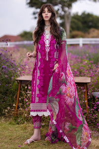 Buy Mushq The Secret Garden Online Pakistani Stylish Dresses from Lebaasonline at best SALE price in UK USA & New York. Explore the new collections of Pakistani Winter Dresses from Lebaas & Immerse yourself in the rich culture and elegant styles with our extensive Pakistani Designer Outfit UK !