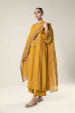 Load image into Gallery viewer, Maria.B | 2 Pc Embroidered Raw Silk Suit &#39;24 | MB-WF24-24