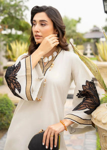 Women Co-Ords Sets |  Pakistani designer co-ords is available @lebaasonline. We have various Pakistani dresses online available  2025 is best for evening/party wear. Get express shipping in UAE, UK, USA, France, Belgium from Lebaasonline in Pakistani SALE