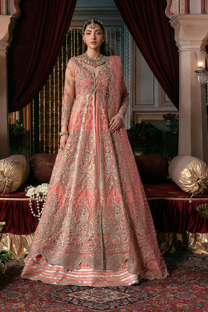 IB-50 Khushbu IMROZIA