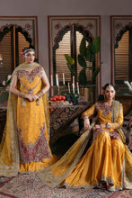Load image into Gallery viewer, IB-55 Roshni imrozia