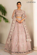 Load image into Gallery viewer, Baroque Chantelle Embroidered Chiffon 3 Piece Suit PINK SALT