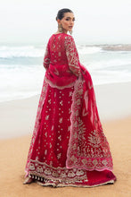 Load image into Gallery viewer, Afrozeh Dastangoi Formal AWE-04 (Nageen)