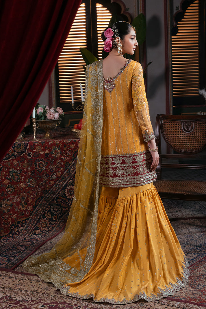 IB-55 Roshni imrozia