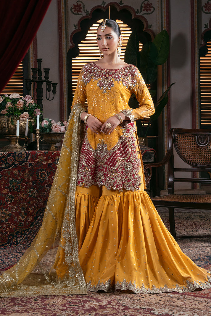 IB-55 Roshni imrozia