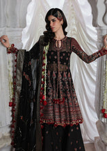 Load image into Gallery viewer, Siyara HUSSAIN REHAR