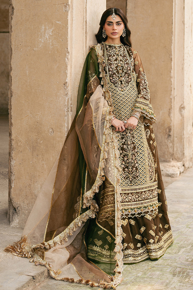 Mohsin Naveed Ranjha Tabeer brown organza embroidered festive suit