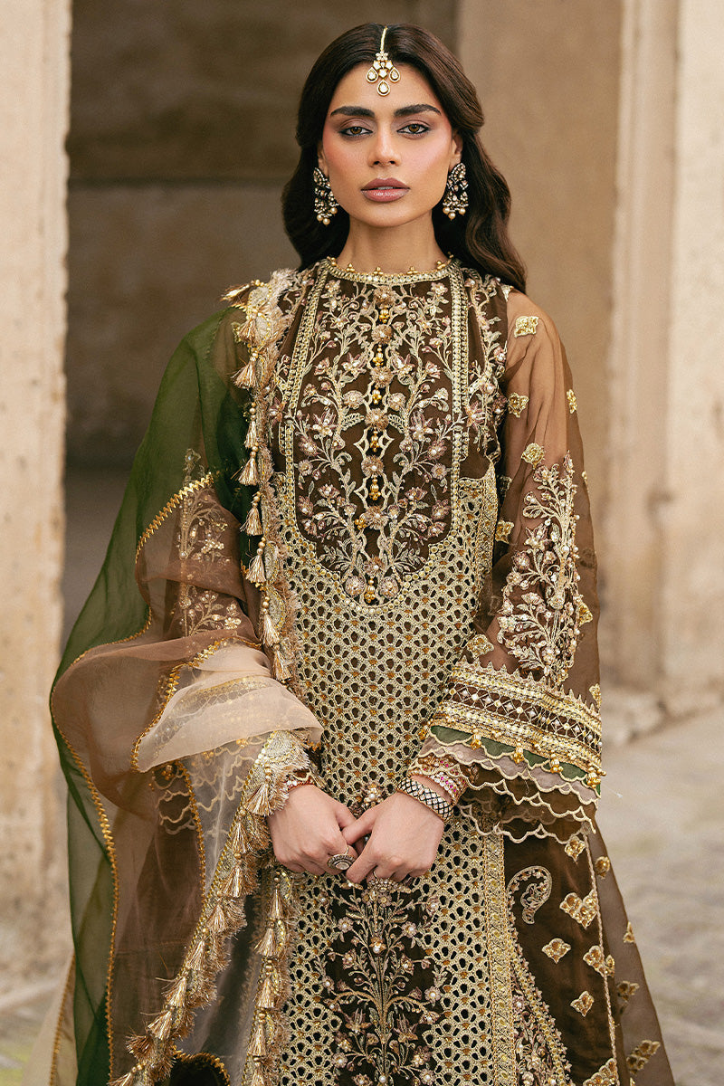 Mohsin Naveed Ranjha Tabeer printed organza dupatta with gold scalloped border