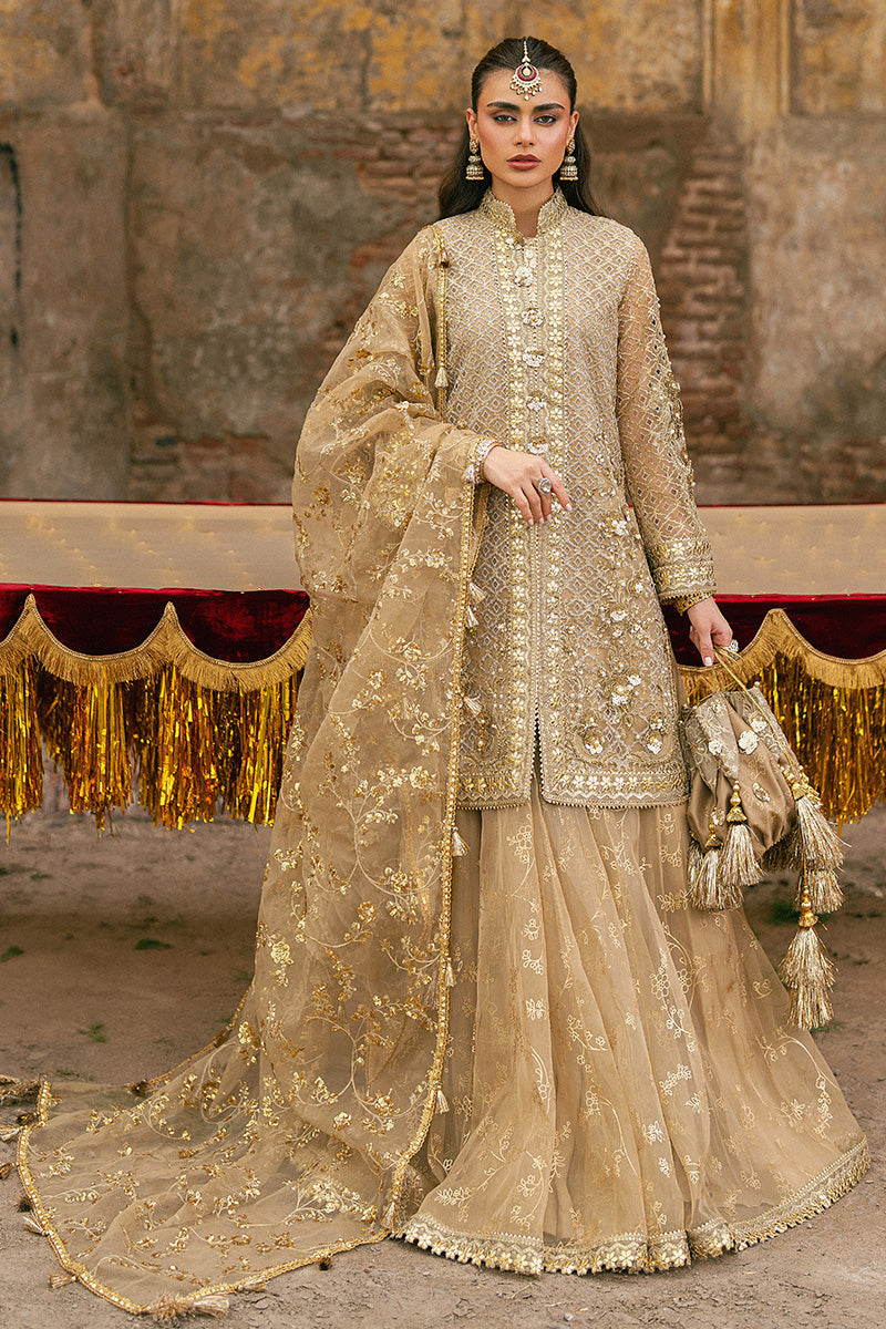 Mohsin Naveed Ranjha Zarlish Festive Collection Roshni Pakistani designer outfit