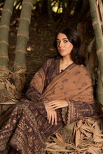 Load image into Gallery viewer, Shop now Sobia Nazir Winter Shawl 2021 Brown velvet suit Various VELVET SALWAR SUIT DESIGNS are available in Pakistani brands such as Maria b, Sobia Nazir, Sana Safinaz. We have VELVET SALWAR SUIT LATEST COLLECTION in unstitched/customized for evening/party wear. VELVET SALWAR SUITS @lebaasonline in USA, UK at SALE!