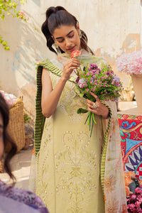 Buy MUSHQ | TESORO Online Pakistani Stylish Dresses from Lebaasonline at best SALE price in UK USA & New York. Explore the new collections of Pakistani Winter Dresses from Lebaas & Immerse yourself in the rich culture and elegant styles with our extensive Pakistani Designer Outfit UK !